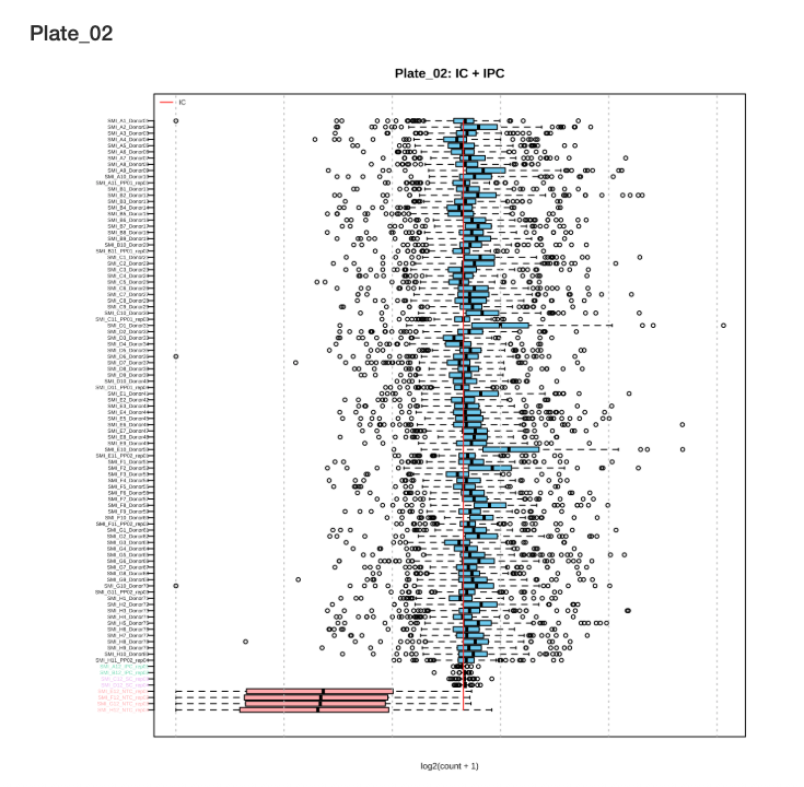 Sample boxplots for Plate 2 after normalization